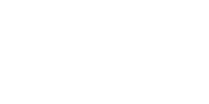 Palladino Auto Group